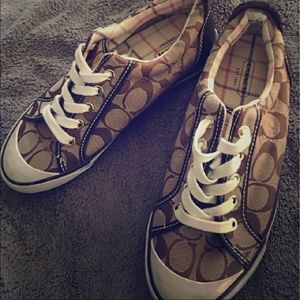 Brown Coach Canvas
